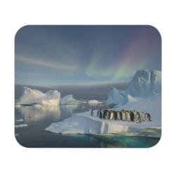 Tapis de souris 22x18 cm – Manchots sur la Banquise & Aurores Boréales – Paysage Polaire Apaisant – Beauté de l’Arctique
