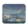 Tapis de souris 22x18 cm – Manchots sur la Banquise & Aurores Boréales – Paysage Polaire Apaisant – Beauté de l’Arctique