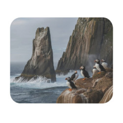 Tapis de souris 22x18 cm –...