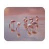 Tapis de souris 22x18 cm – Flamants Roses dans l’Eau – Design Pastel & Tropical Élégant – Ambiance Zen