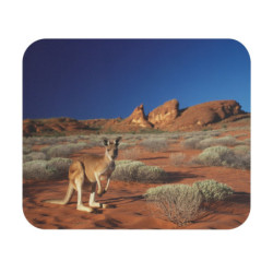 Tapis de souris 22x18 cm – Kangourou dans le Désert Australien – Paysage Sauvage & Ciel Bleu Profond