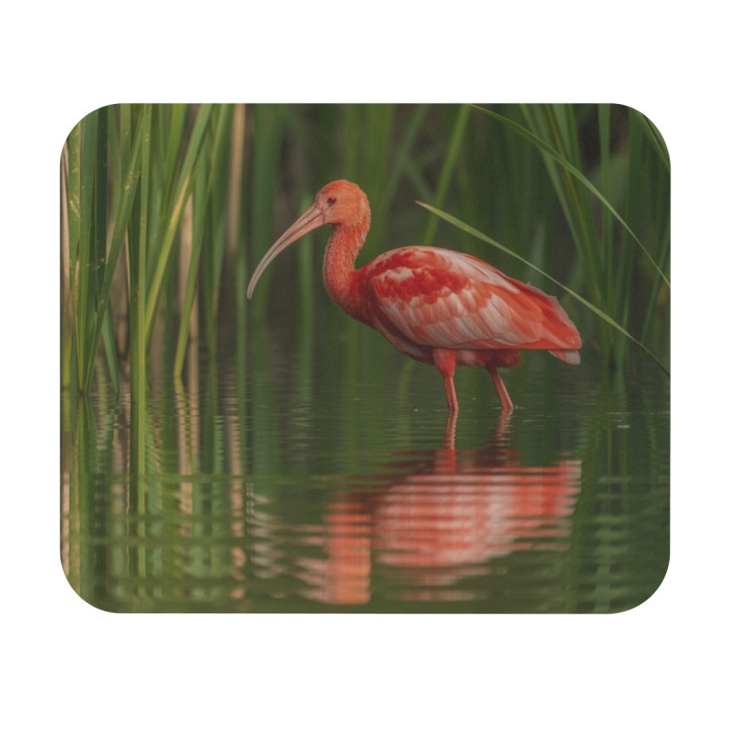 Tapis de souris 22x18 cm – Oiseau Rouge dans les Roseaux – Nature Élégante & Reflet Paisible – Ambiance Tropicale