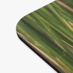 Tapis de souris 22x18 cm – Oiseau Rouge dans les Roseaux – Nature Élégante & Reflet Paisible – Ambiance Tropicale