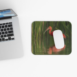 Tapis de souris 22x18 cm – Oiseau Rouge dans les Roseaux – Nature Élégante & Reflet Paisible – Ambiance Tropicale