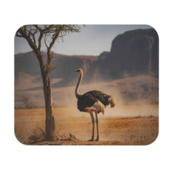 Tapis de souris 22x18 cm – Autruche dans la Savane – Ambiance Désert Africain & Lumière Dorée – Nature Sauvage