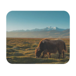Tapis de souris 22x18 cm – Yak du Tibet – Montagnes Enneigées & Steppes Sauvages – Nature Paisible