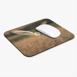 Tapis de souris 22x18 cm – Chouette Effraie en Vol – Champ Doré au Coucher du Soleil – Nature Sauvage & Sérénité