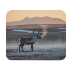 Tapis de souris 22x18 cm – Renne Arctique au Lever du Soleil – Nature Boréale & Sérénité d’Hiver