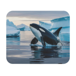 Tapis de souris 22x18 cm – Orque dans les Glaces – Océan Arctique & Liberté Marine