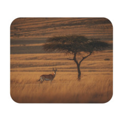Tapis de souris 22x18 cm – Gazelle dans la Savane Africaine – Élégance Sauvage & Lumière Dorée