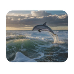 Tapis de souris 22x18 cm –...