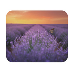 Tapis de souris 22x18 cm – Champ de Lavande & Papillon – Sérénité de Provence – Surface Lisse & Base Antidérapante