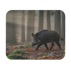 Tapis de souris 22x18 cm – Sanglier en Forêt d’Automne – Nature Sauvage & Lumière Matinale