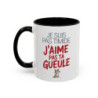Tasse Humour Chat Je Suis Pas Timide – Mug Phrase Drôle et Sarcastique – Cadeau Original 325ml