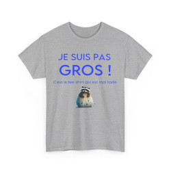Tee shirt Je suis pas gros c'est le tee shirt qui est mal taillé ! Humour drôle amusant idée cadeau