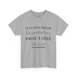 Tee shirt Unisex Perfection idée cadeau humour drôle amusant Homme/Femme