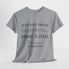 Tee shirt Unisex Perfection idée cadeau humour drôle amusant Homme/Femme