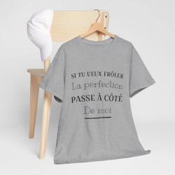 Tee shirt Unisex Perfection idée cadeau humour drôle amusant Homme/Femme