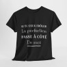 Tee shirt Noir Unisex Perfection idée cadeau humour drôle amusant Homme/Femme