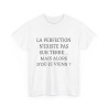 Tee shirt Unisex La perfection n'existe pas sur terre idée cadeau humour drôle amusant Homme/Femme