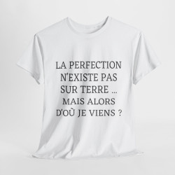 Tee shirt Unisex La perfection n'existe pas sur terre idée cadeau humour drôle amusant Homme/Femme