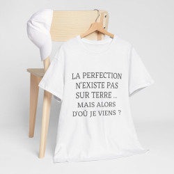 Tee shirt Unisex La perfection n'existe pas sur terre idée cadeau humour drôle amusant Homme/Femme