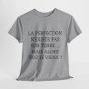 Tee shirt Unisex La perfection n'existe pas sur terre idée cadeau humour drôle amusant Homme/Femme