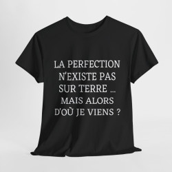 Tee shirt Noir  Unisex La perfection n'existe pas sur terre idée cadeau humour drôle amusant Homme/Femme