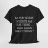 Tee shirt Noir  Unisex La perfection n'existe pas sur terre idée cadeau humour drôle amusant Homme/Femme