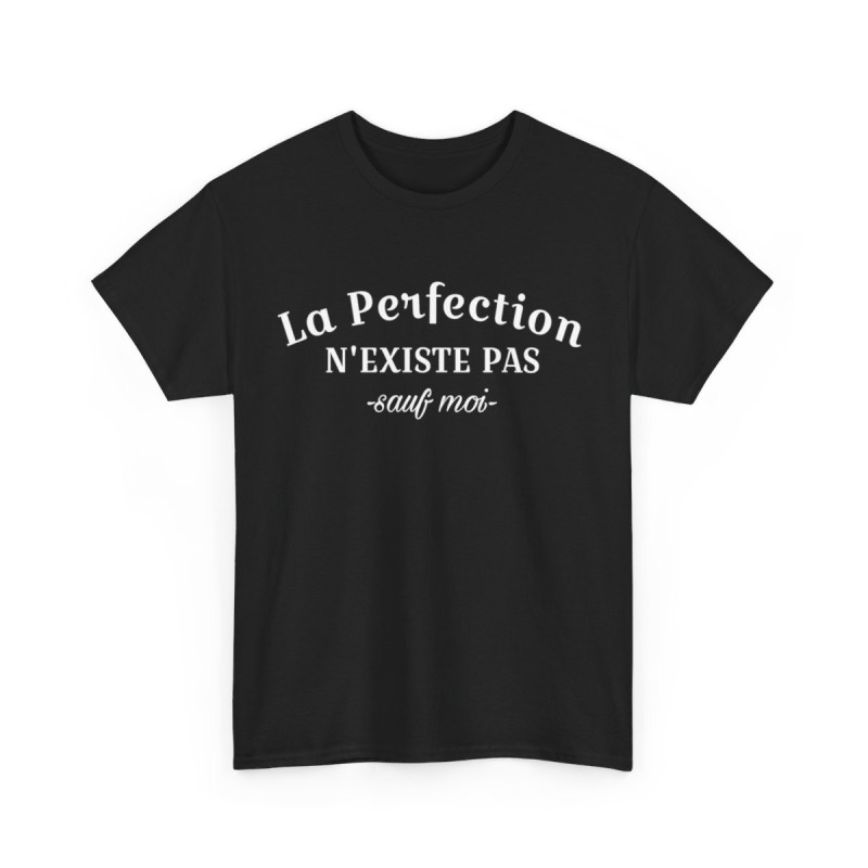 Tee Shirt La Perfection n'Existe Pas Sauf Moi idée cadeau humour drôle amusant pour homme et femme