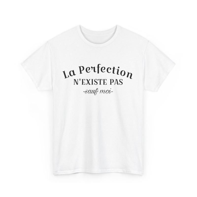 Tee Shirt La Perfection n'Existe Pas Sauf Moi idée cadeau humour drôle amusant pour homme et femme