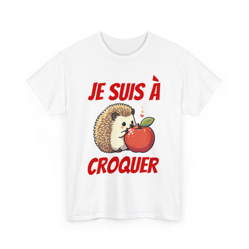 Tee shirt herisson animal idee cadeau humour drôle homme ou femme