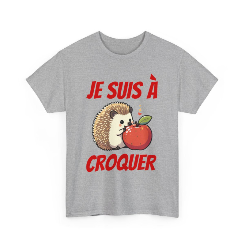 Tee shirt herisson animal idee cadeau humour drôle homme ou femme