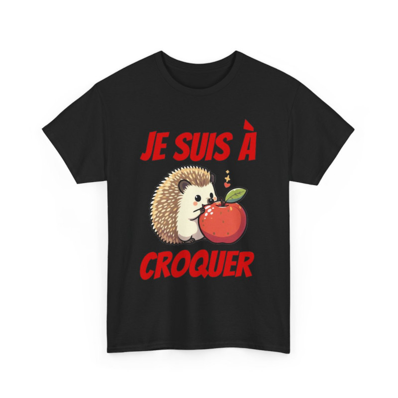 Tee shirt herisson animal idee cadeau humour drôle homme ou femme