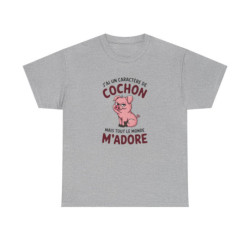 T Shirt Humour – J’ai un Caractère de Cochon, mais Tout le Monde M’adore – Cadeau Drôle Rigolo  – Coton Premium