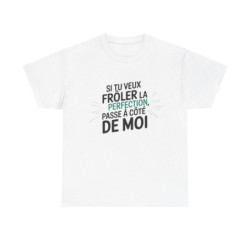 T shirt– "Si tu veux frôler la perfection, passe à côté de moi" – Blanc ou Gris – Tailles S à 3XL tee shirt humour