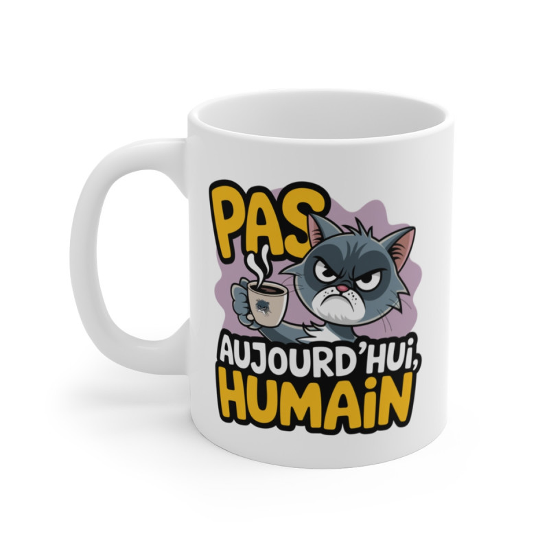Mug Chat Grincheux Pas Aujourd’hui Humain Tasse Humour Sarcastique Café Matin Félin  Lendemain Difficile Cadeau Original