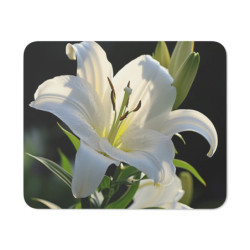 Tapis de Souris Lys Blanc...