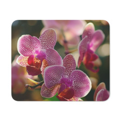Tapis de Souris Orchidée...