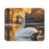 Tapis de Souris Cygne Élégant sur Étang d’Automne  Scène Nature Apaisante avec Reflets & Feuilles Dorées